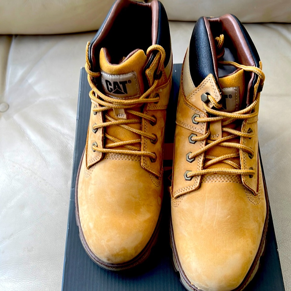 NIB hiking or work shoes.